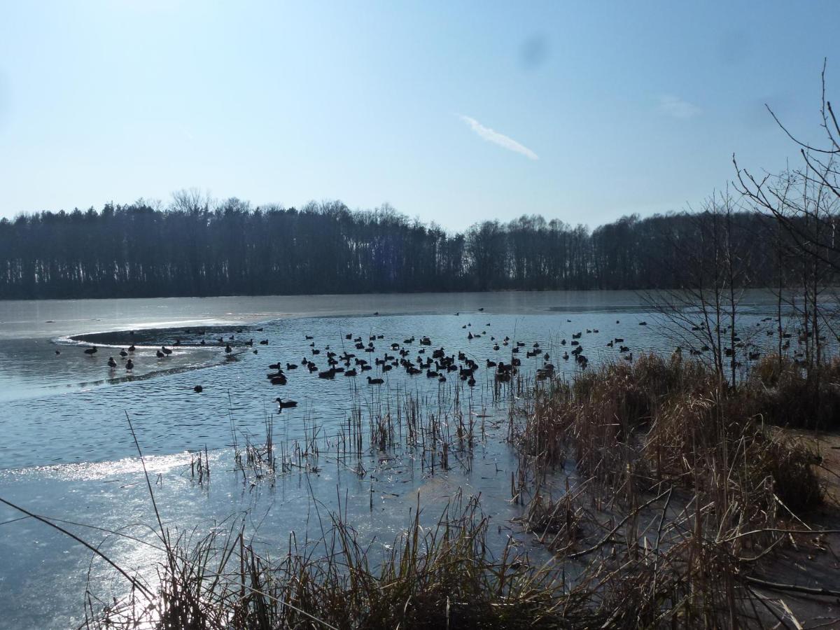 Seeblick Kemnitz Werder  Exterior foto